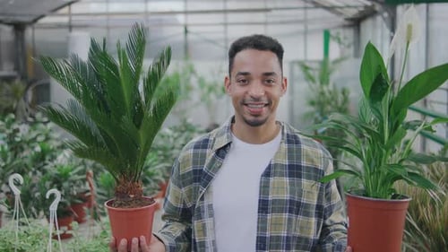 Portrait of a Joyful Man Holding in His Hands Two Pots with Beautiful Green Plants The Man Chose and