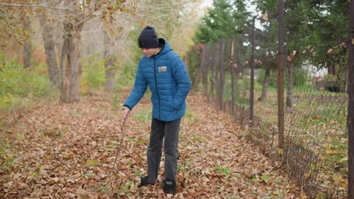 Child in Blue Jacket Scattering Dry Leaves Playfully in Forest During Autumn