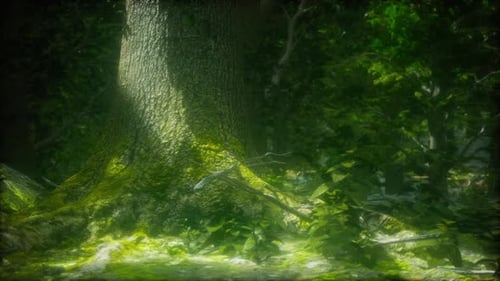 Tree Roots and Sunshine in a Green Forest