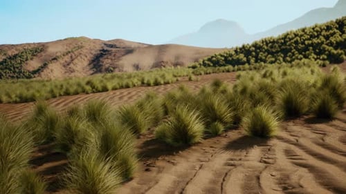 A Serene Landscape with Mountains and a Vast Field of Grass