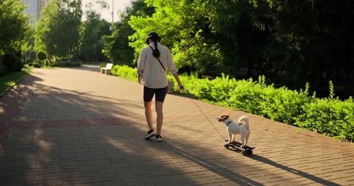 Back View of a Girl in a White Shirt Walking with Her White Dog Who is Riding a Skateboard Along an