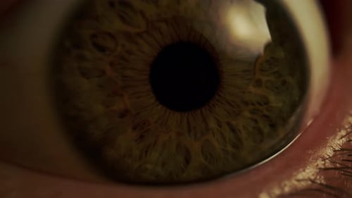 Macro Shot of Human Brown Blue Eye with Visible Iris Texture