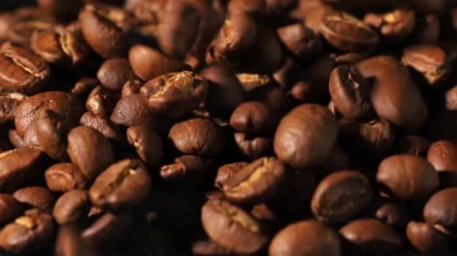 Falling Roasted Coffee Beans in a Close Up Shot