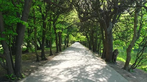 Green Wooden Bench in the Park on Sunny Day in Autumn Spring Summer Season