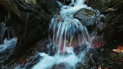 Cold Spring Water Flow In Park. Mountain Creek With Clear Water In Autumn . Close Up Mountain Riv...