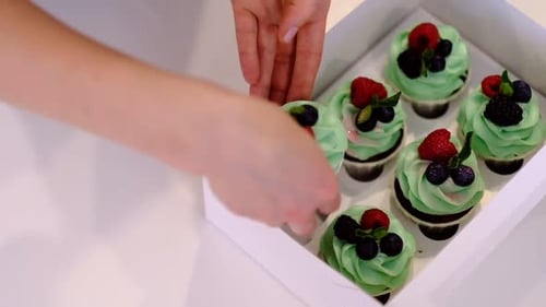 Hands of Female Pastry Chef Packaging Freshly Made Cupcakes with Buttercream Frosting Into Gift Box