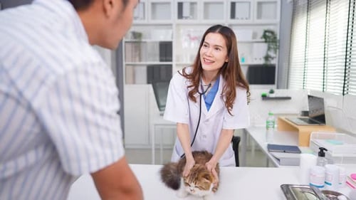Asian pet owner brings domestic cat to veterinary clinic for check up.