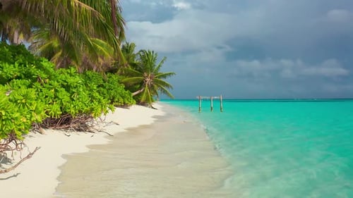 Paradise White Sand Beach Turquoise Ocean Green Palm Trees and Blue Sky with Clouds on a Sunny Day