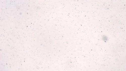 4K Snow