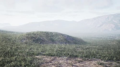 Animated Green Grass Field Landscape with Distant Mountains