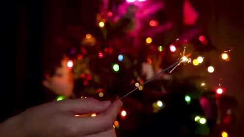 Sparkling Sparkler Held Before Festive Christmas Tree
