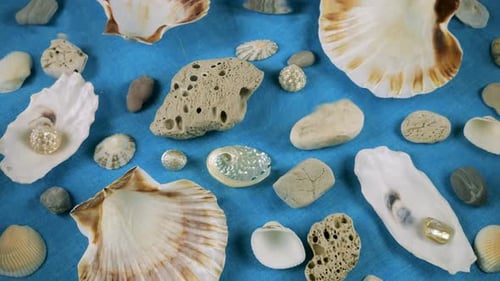 Coquilles d'huîtres et de pétoncles, galets de mer sur fond bleu sous l'eau