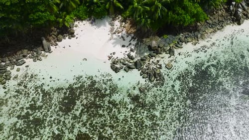 Tropical Beach with Turquoise Water Seychelles Mahe