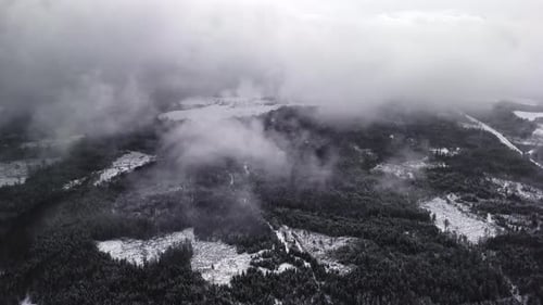Snowy Forest Landscape Shrouded in Clouds