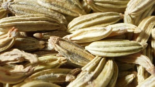 Explore the intricate world of fennel seeds in this macro video.