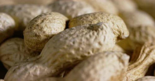 Detailed Close-up of Peanuts in Shells