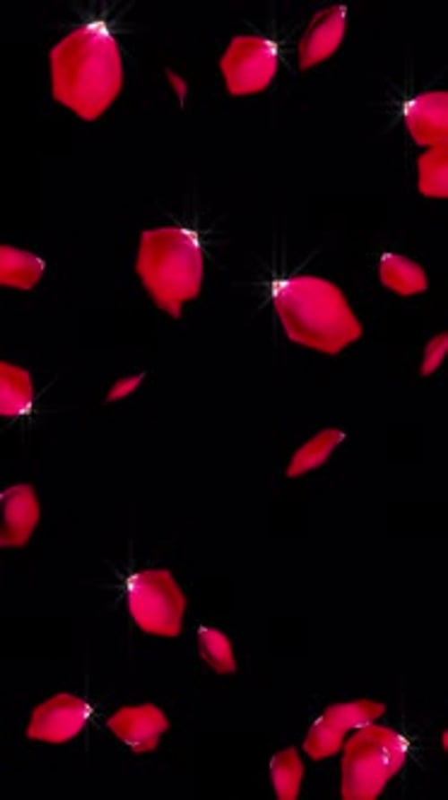 Vertical Rose Petals Falling V2