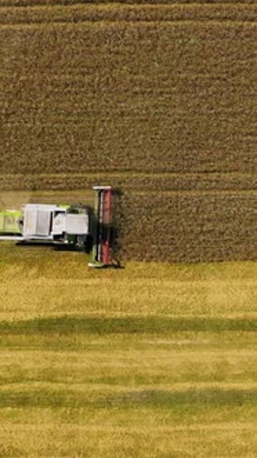 Moissonneuse-batteuse travaillant à la campagne. Machine agricole sur fond de champ jaune