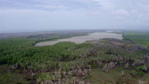 Amazon wetland wildlife ecosystem in South America, around lake