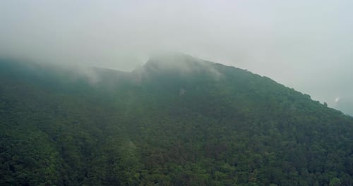 Tropical Mountain Forest Emerging from Morning Mist in Indonesia