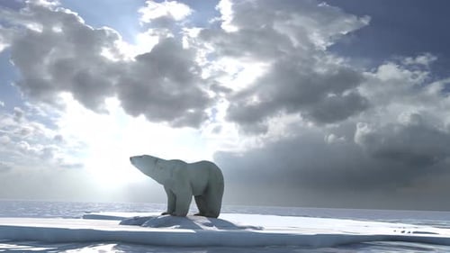 Eisbär steht auf dem letzten Eisbrocken, Sonne im Hintergrund