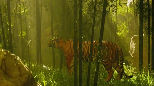 Tigre immobile dans un fourré de bambous alors qu'il renifle et écoute sa carrière