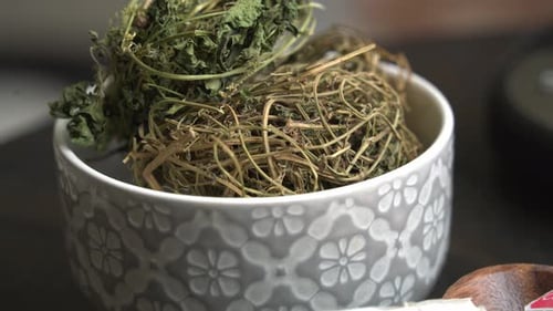 Kerala leaves in bowl on table Cerasee bitter melon plant with kerala hanging from vines used to mak