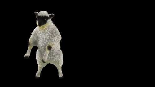 Cute 3D Sheep Character Standing and Dancing Animation