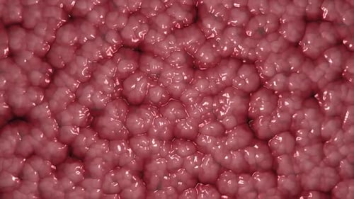 Dynamic Abstract Red Fluid Organic Cells Background Loop