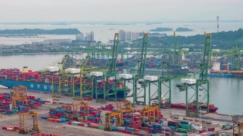 Import And Export Business