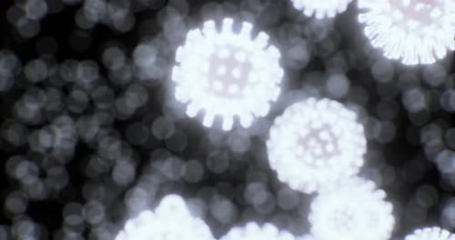 Exploring the Intricate World of Microscopic Structures in Focused Detail