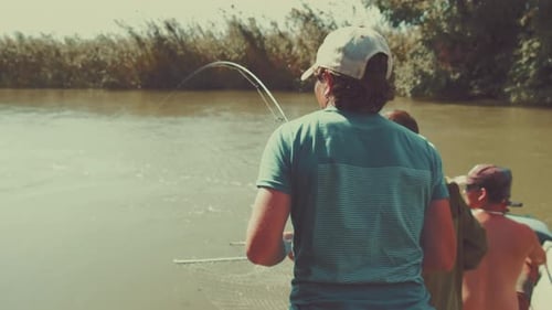 Tree amateur anglers fishing for carp on the river. Man caught the carp and fights with it