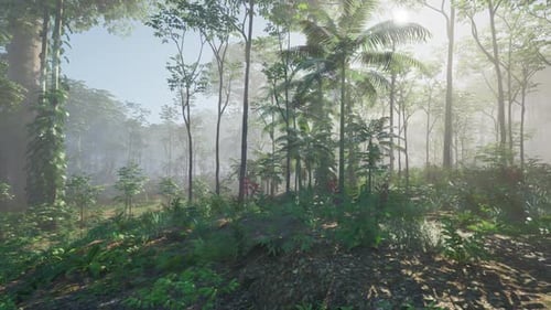 Dense Forest Teeming With Trees and Plants
