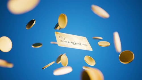 Credit card. Expenses, income. Online payment concept. Banking services.