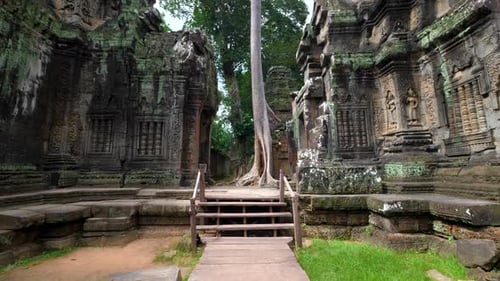 Ruines du temple Ta Prohm, lieu de tournage du film Tomb Raider, au Cambodge, Angkor Wat