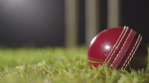 Cricket Still Life With Close Up Of Ball Falling Onto Grass In Front Of Stumps