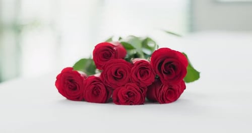 Red Roses Bouquet on White Surface