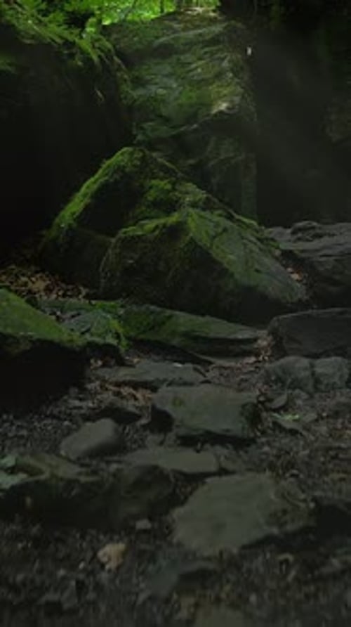 Un sentier forestier serein et paisible serpentant à travers des rochers moussus luxuriants et la beauté de la nature