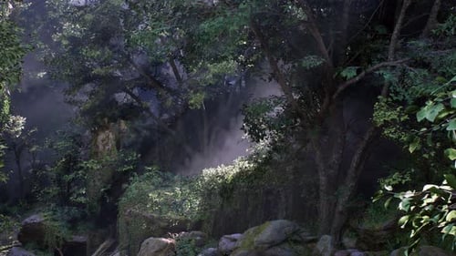 Mysterious Forest with Ethereal Fog and Sunlight Rays