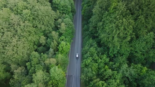 Carro viajando sozinho em uma estrada sinuosa através de uma floresta verde exuberante. Viagem pacífica.
Aéreo