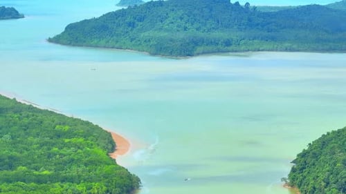 The intricate beauty of mangrove and beach forests along the coastline.
