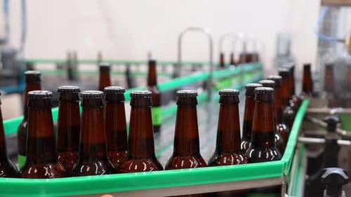Beer Bottles Moving on a Brewery Conveyor Belt