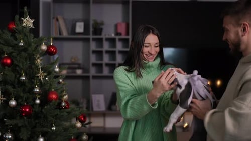 Couple Receives Puppy as Christmas Gift at Home