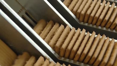 lots of square cookies are pressed together on conveyor line before being packed