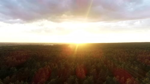 Filmmusik Drohnenflug über Herbstbäume, Wald bei Sonnenuntergang, Goldene Stunde im Nationalpark