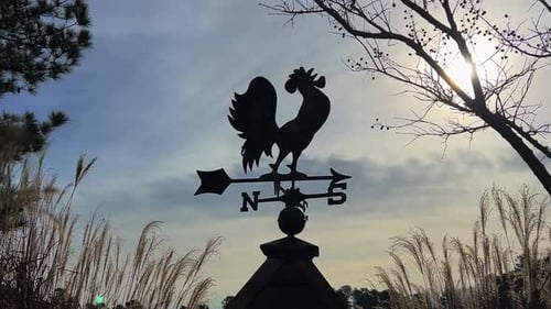 Eine dekorative Wetterfahne mit einem Hahn, der darauf thront.