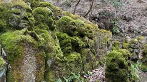 Rakan Buddihist statues in Otagi Nenbutsuji Temple in Kyoto Japan.