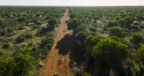 Aerial view of tranquil forest with winding road, South Africa.