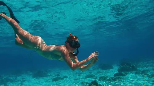Female Freediver in Bikini Swims Underwater in the Tropical Sea and Glides Over the Reef