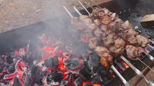 Juicy Meat Skewers Cooking Over Hot Coals